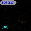 FDF   317