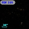 FDF   318