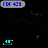 FDF   429