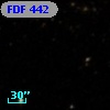 FDF   442