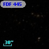 FDF   445
