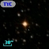 TYC 4010-1335-1