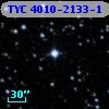 TYC 4010-2133-1