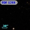 FDF  1289