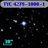 TYC 4278-1000-1