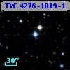 TYC 4278-1019-1
