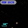 FDF  1828