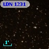 LDN 1231