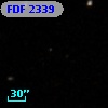 FDF  2339