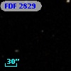 FDF  2829