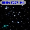 HBHA 6207-04