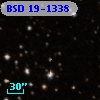 BSD  19-1338