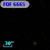 FDF  6665