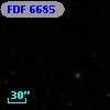 FDF  6685