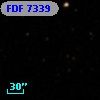 FDF  7339
