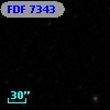 FDF  7343