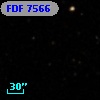 FDF  7566