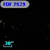 FDF  7829