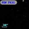 FDF  7831