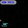 FDF  7925