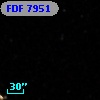 FDF  7951