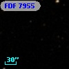 FDF  7955