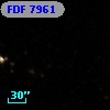 FDF  7961