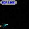 FDF  7966