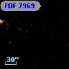 FDF  7969