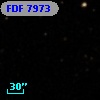 FDF  7973