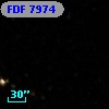 FDF  7974