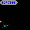 FDF  7980