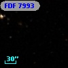FDF  7993
