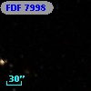 FDF  7998