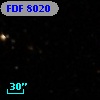 FDF  8020