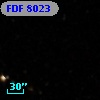 FDF  8023