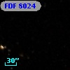 FDF  8024