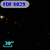 FDF  8029