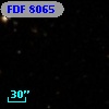 FDF  8065