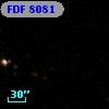 FDF  8081