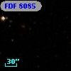 FDF  8085