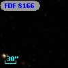 FDF  8166
