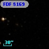 FDF  8169