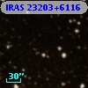IRAS 23203+6116