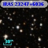 IRAS 23247+6036