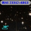 IRAS 23312+6013