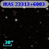 IRAS 23313+6003