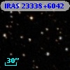 IRAS 23338+6042