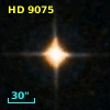 HD   9075