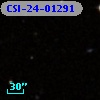 CSI-24-01291